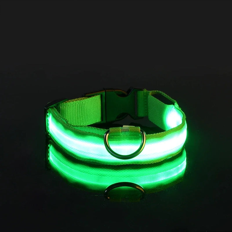 Coleira de Nylon para Cães com Led que Brilha no Escuro